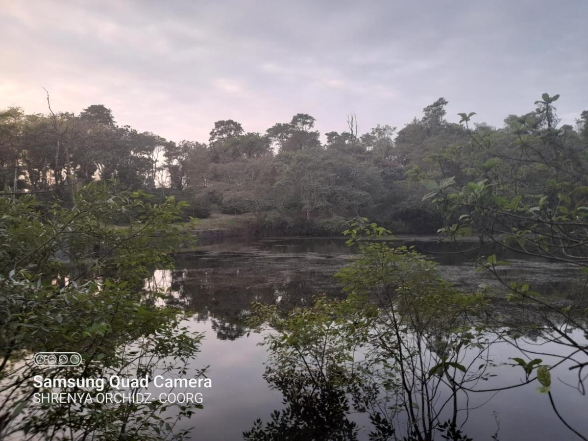 Shrenya Orchidz-Coorg Nature Stay Madikeri Eksteriør billede