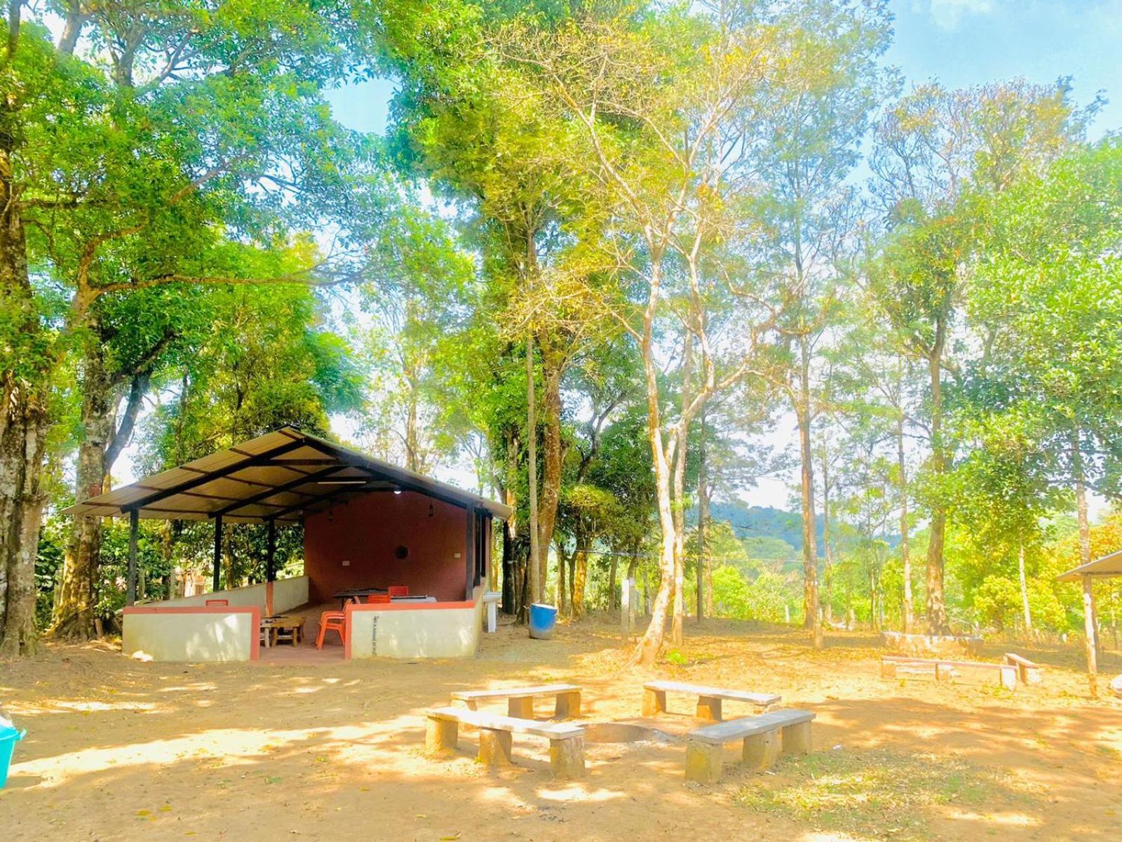 Shrenya Orchidz-Coorg Nature Stay Madikeri Eksteriør billede